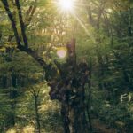 ☀ ПЕНИЕ – ПРИРОДНОЕ ЛЕКАРСТВО ДЛЯ ЖИЗНИ